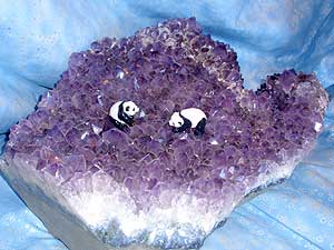 Pandas on Amethyst